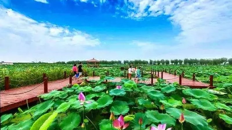 水果种植农药混配禁忌表