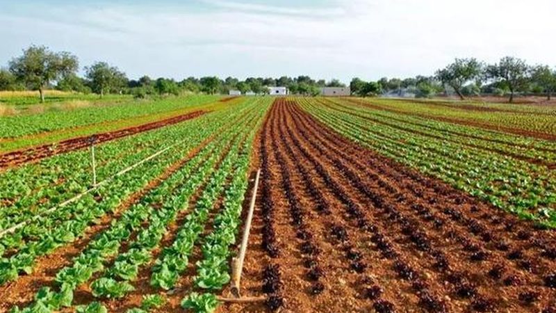 农场研学基地：收费标准背后的考量因素**