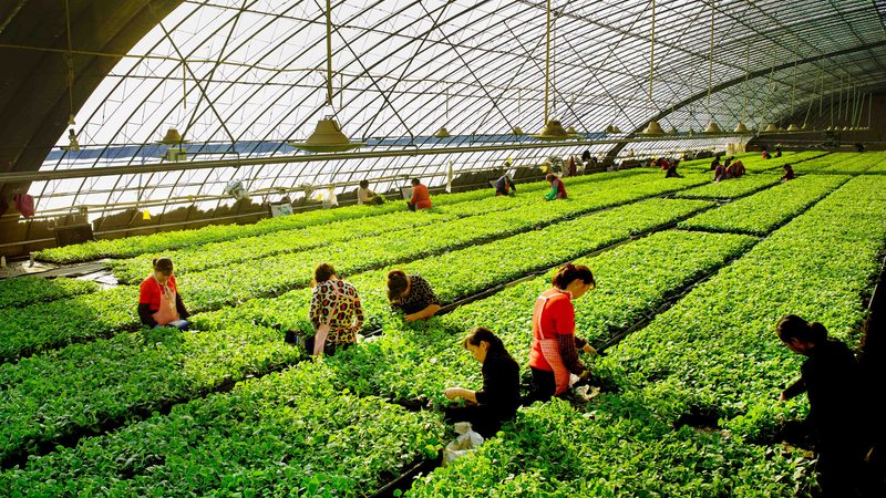 农业种植技术培训课程费用对比