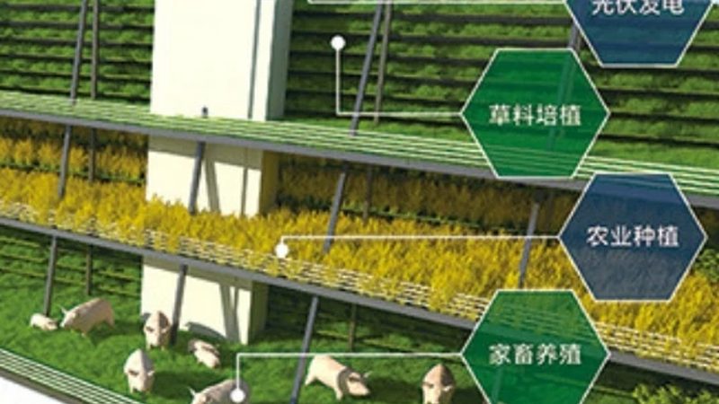 休闲农业公司排名：揭秘背后的考量因素