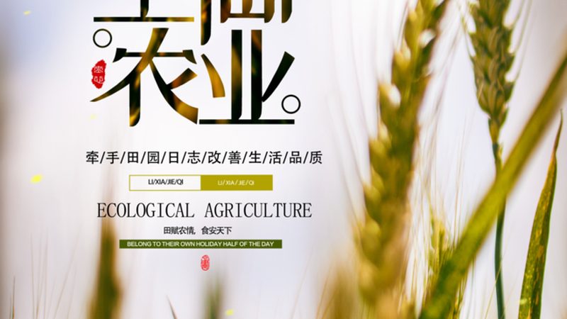 成立水果种植合作社，盈利空间有多大？**
